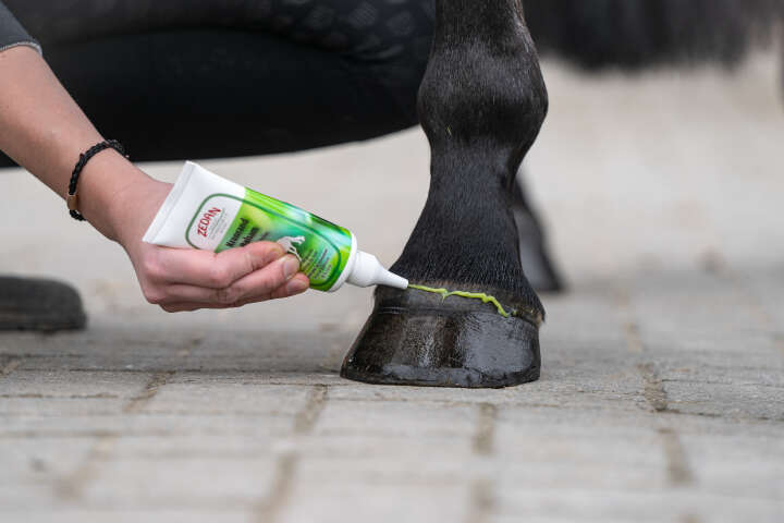 ZEDAN Kronrand Balsam 100ml